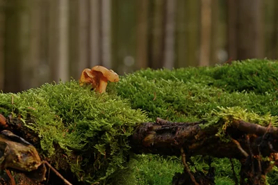 Comment les deepfakes menacent-ils la vérité à l’ère numérique ?